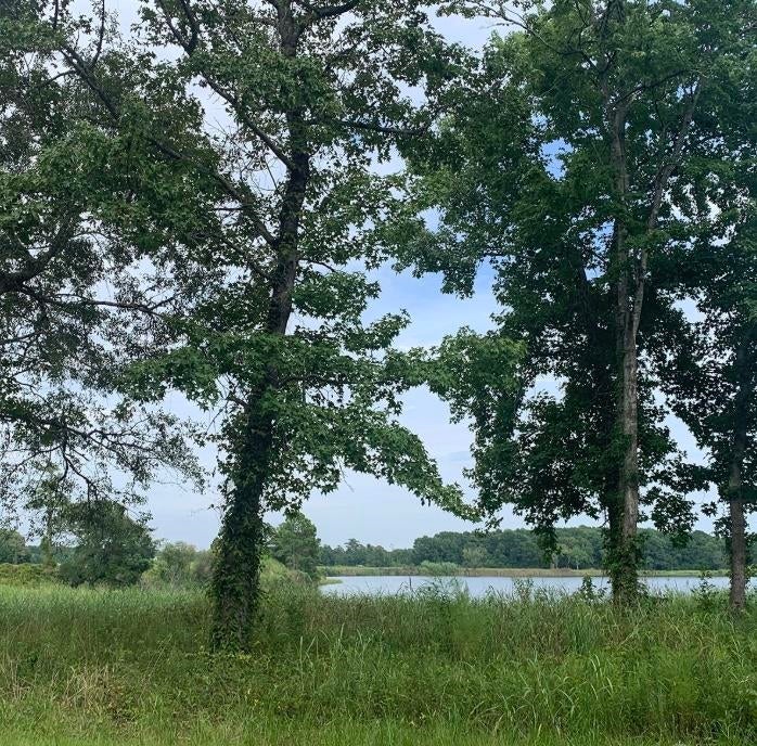 45.22 Ac Atlantic Breeze Dr.