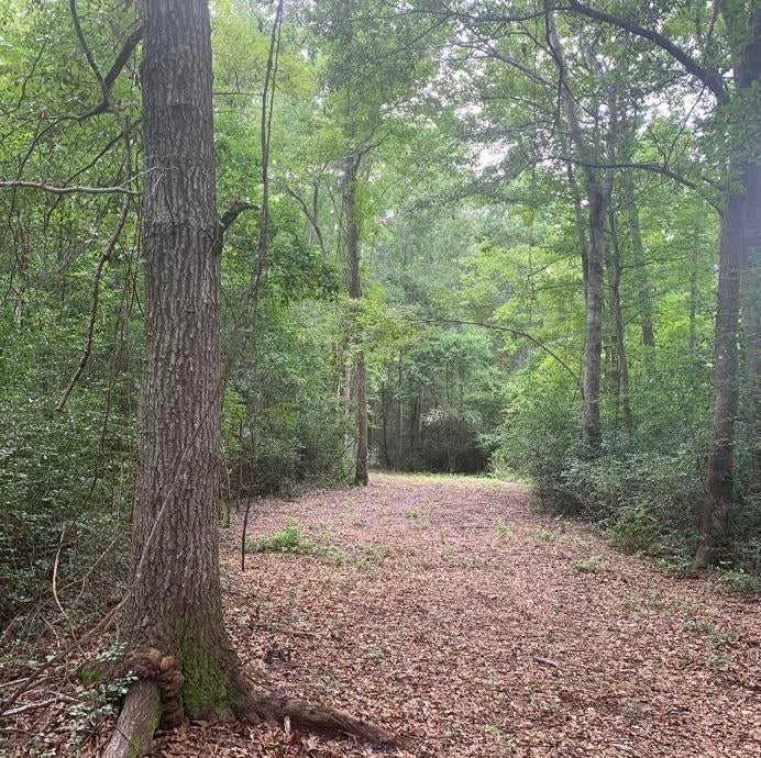 45.22 Ac Atlantic Breeze Dr.