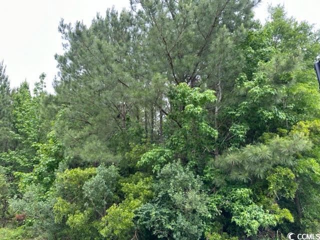 View Conway, SC 29526 land