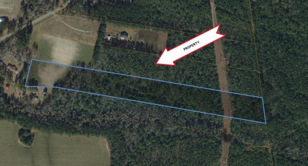 JOHNSON RD, GALIVANTS FERRY, SC 29544 - Image decf89233e8d927e0940d267f112e09b/2321245083