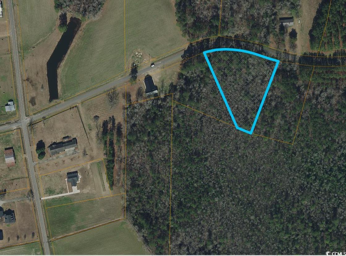 Photo 1 of 5 — TBD Long Branch Swamp Rd., Nichols, SC 29581