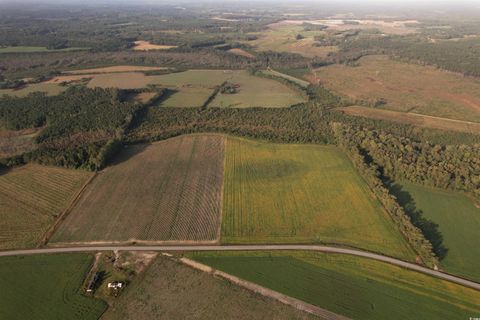 66.5 Acres-TBD Baxley Rd. Hemingway SC 29554