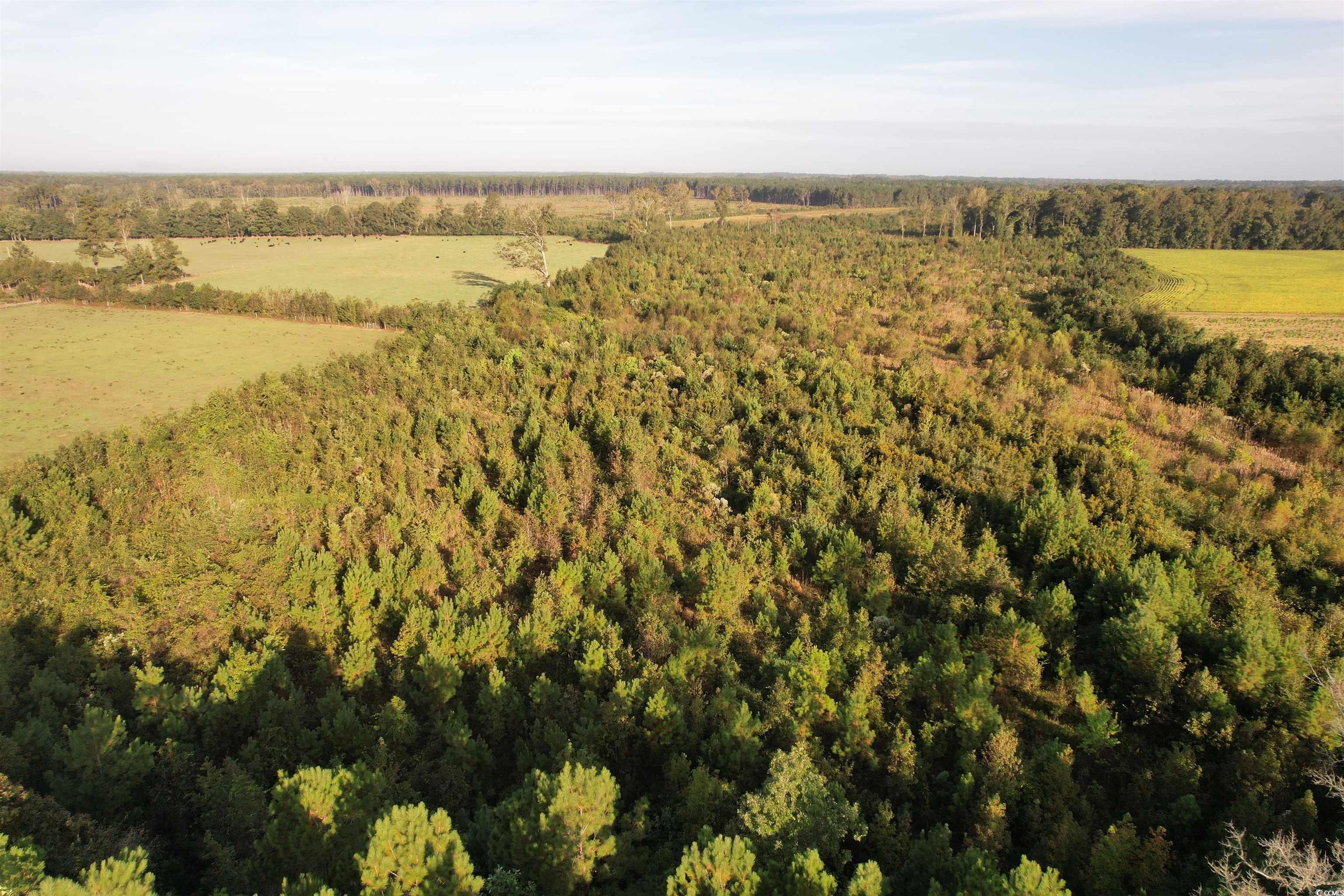 66.5 Acres-TBD Baxley Rd.