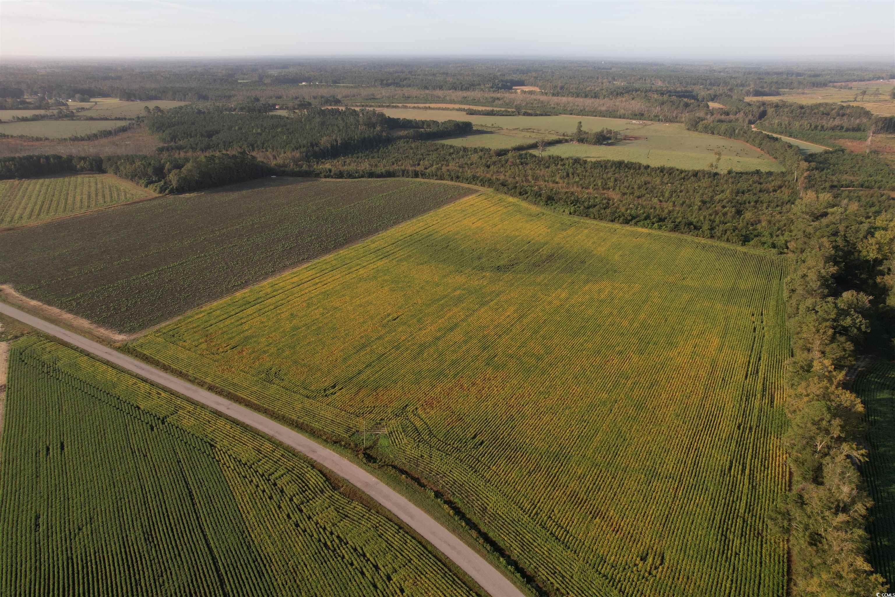 66.5 Acres-TBD Baxley Rd.