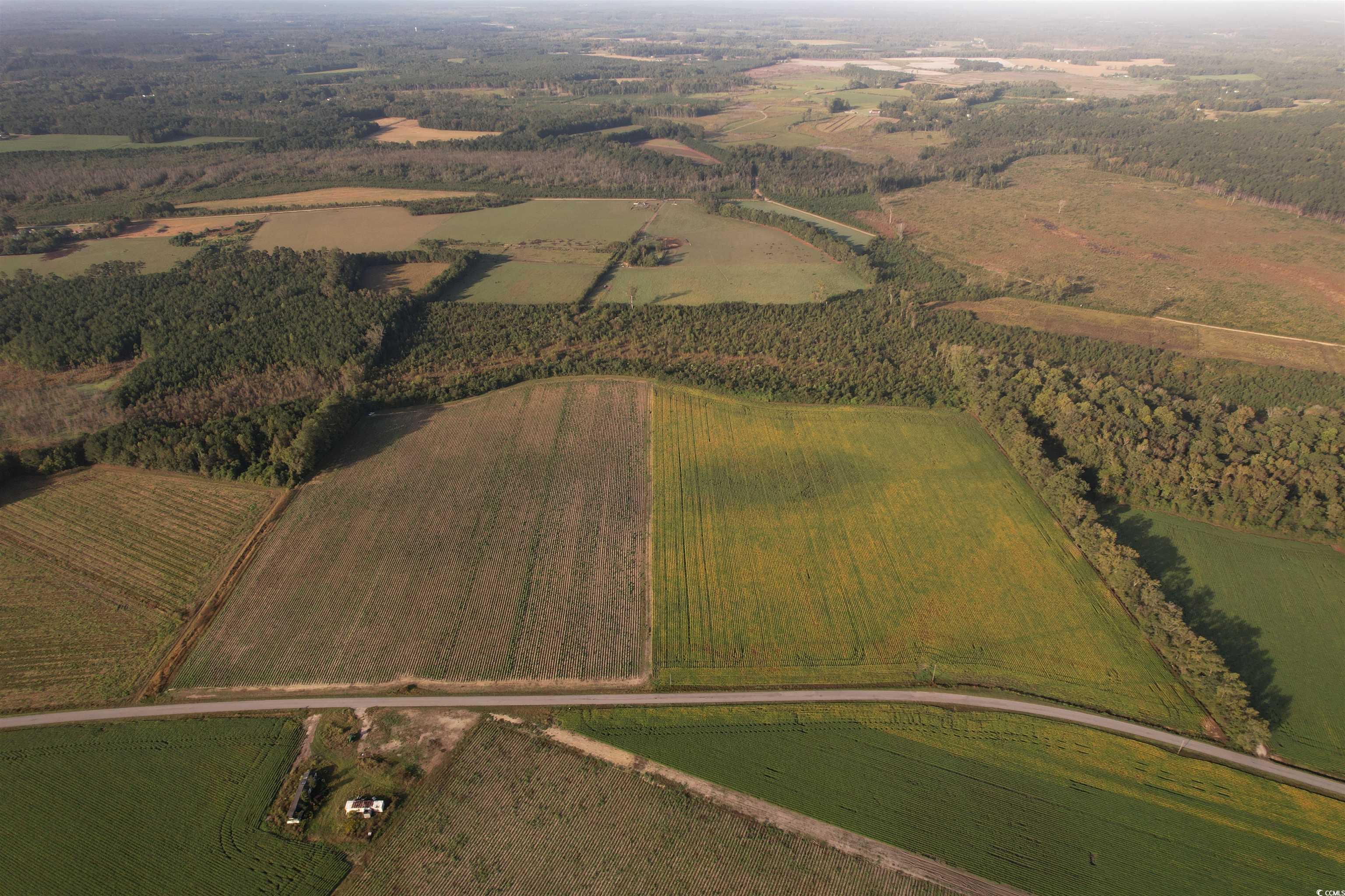66.5 Acres-TBD Baxley Rd.