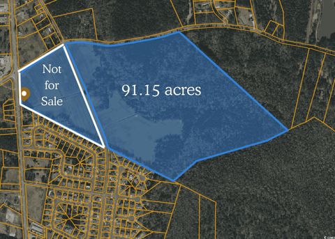 TBD Pitch Landing Rd. Conway SC 29527