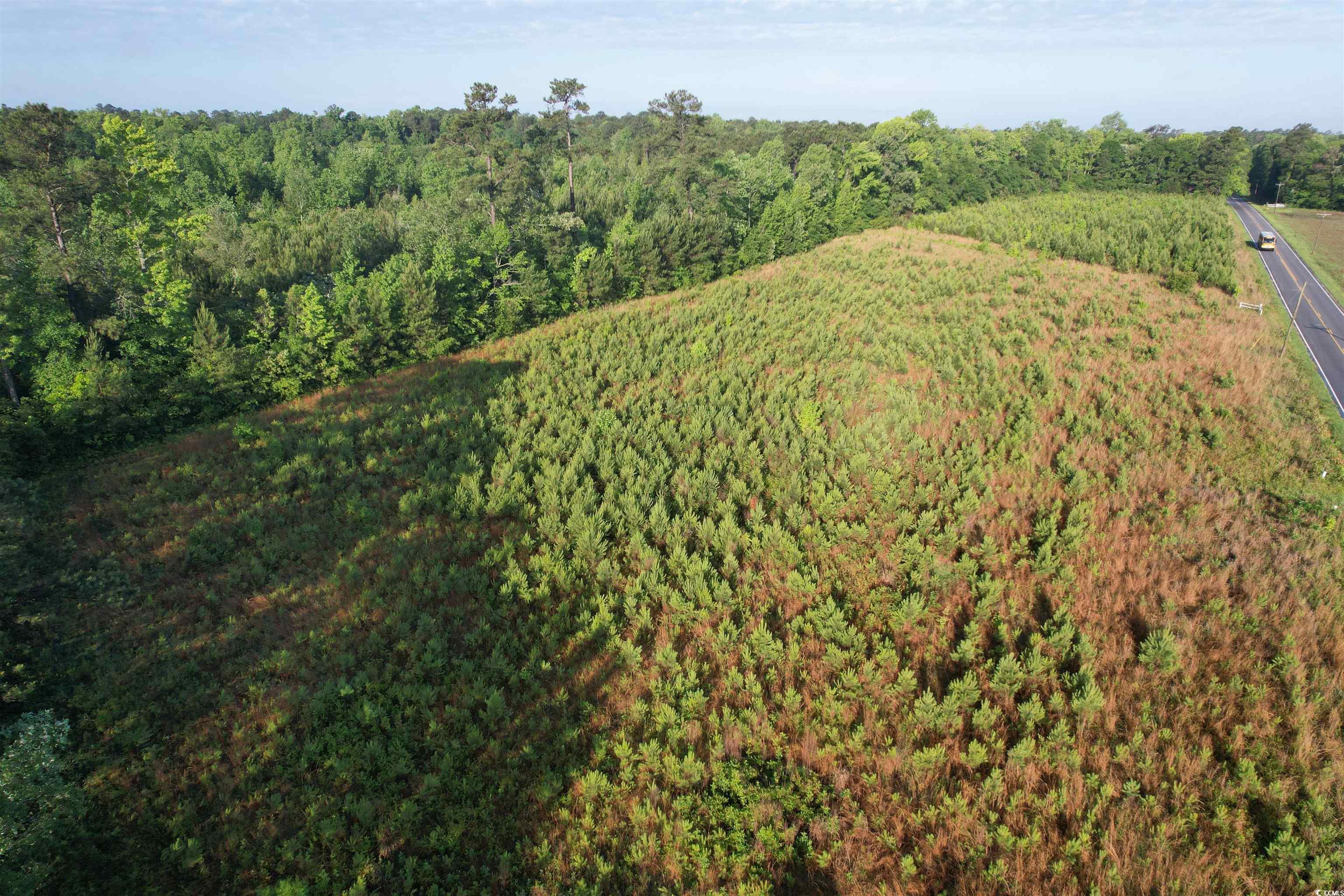 7 Acres-TBD Old Pee Dee Rd.
