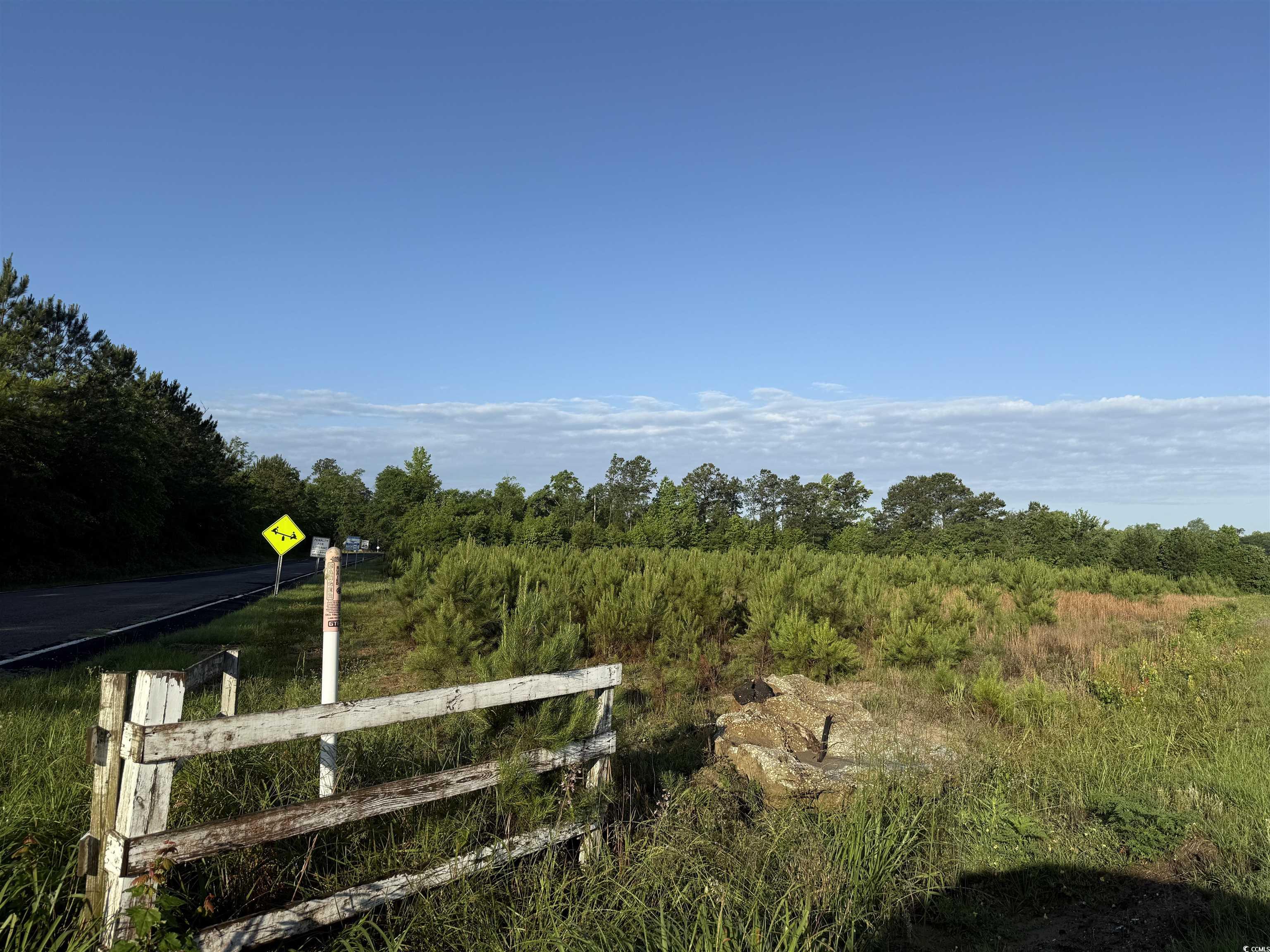 7 Acres-TBD Old Pee Dee Rd.