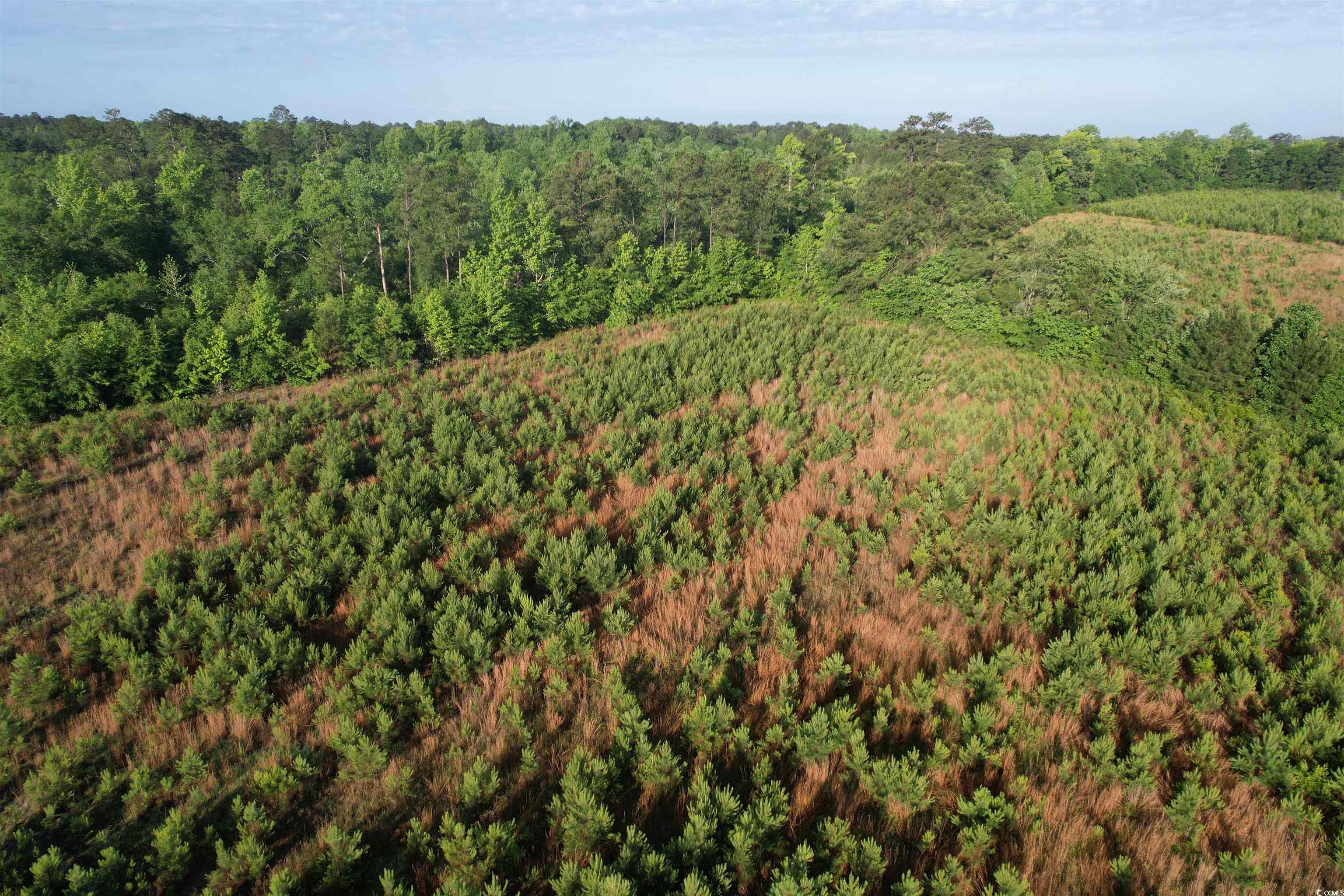 7 Acres-TBD Old Pee Dee Rd.