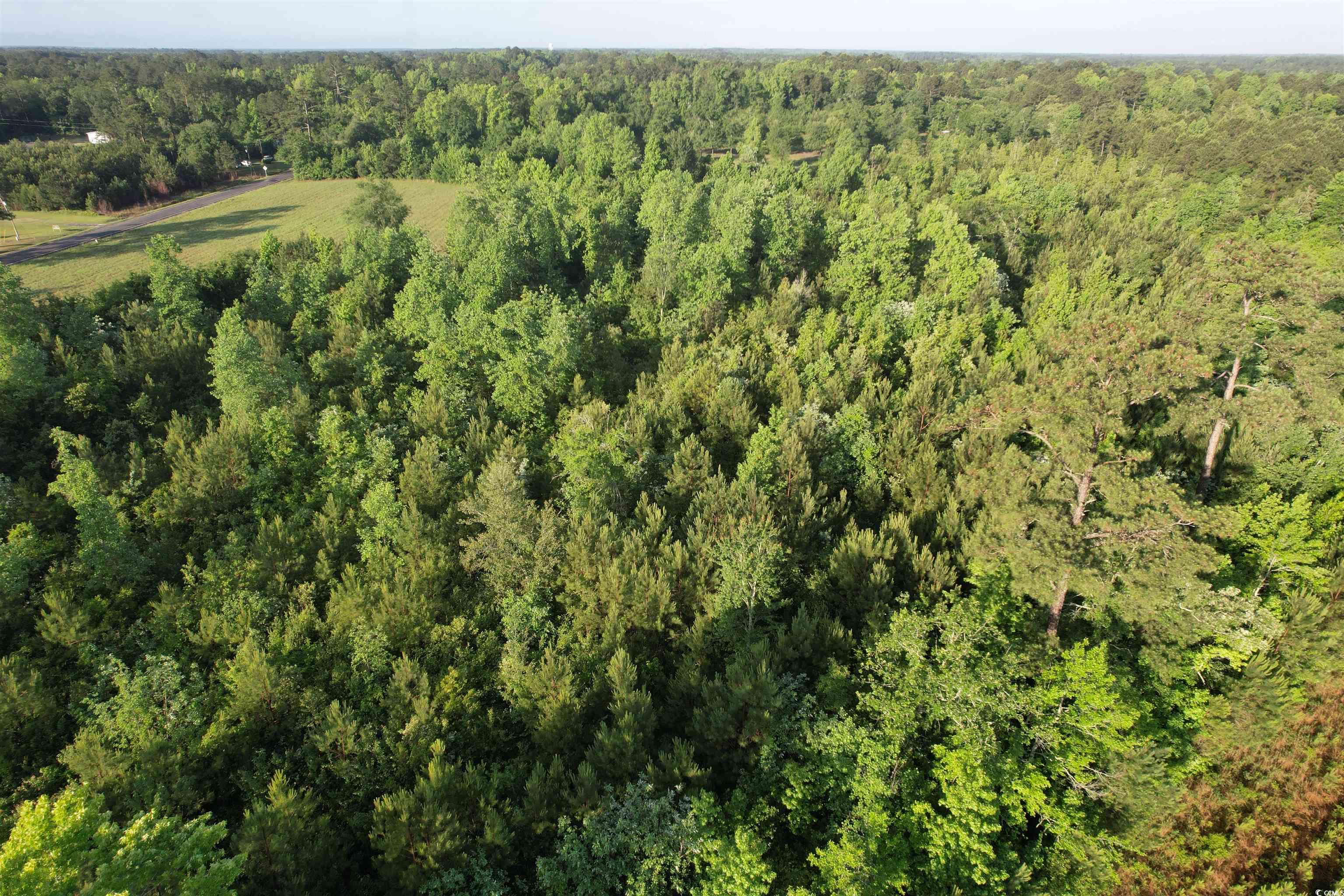 7 Acres-TBD Old Pee Dee Rd.