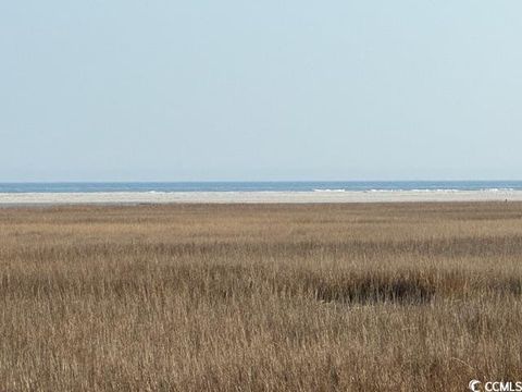 A home in Pawleys Island