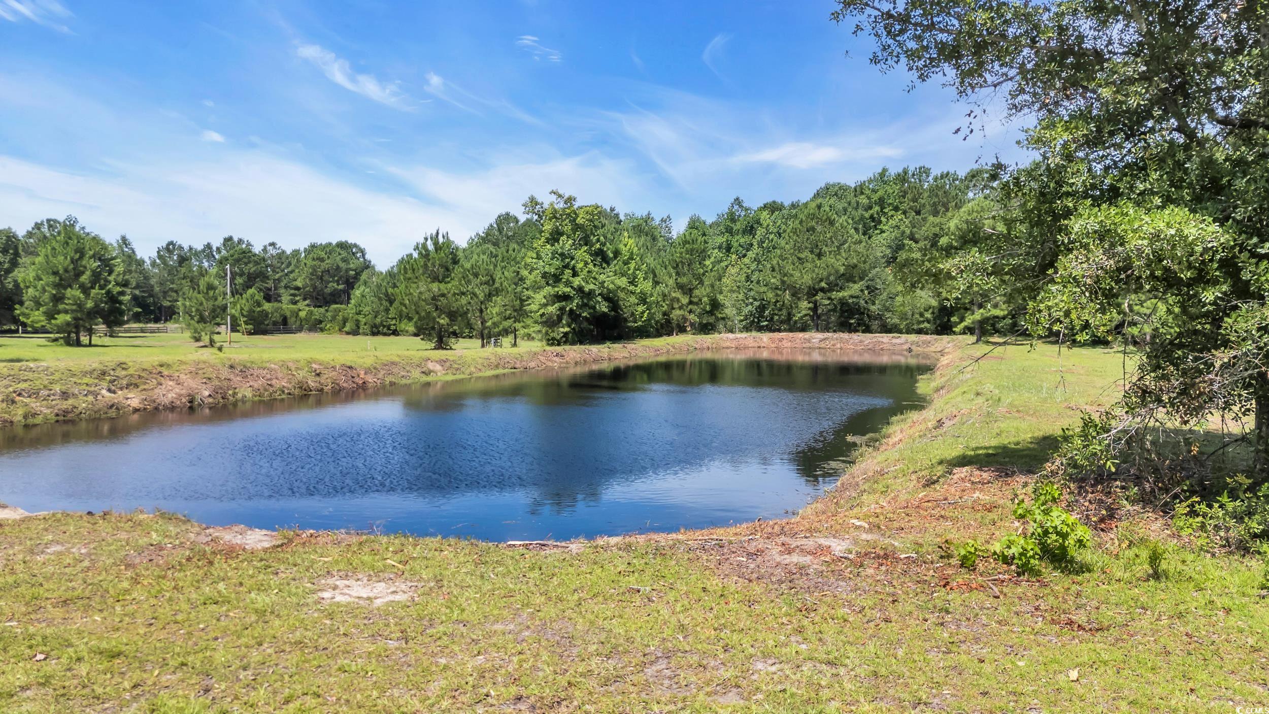 602 Alligator Rd.