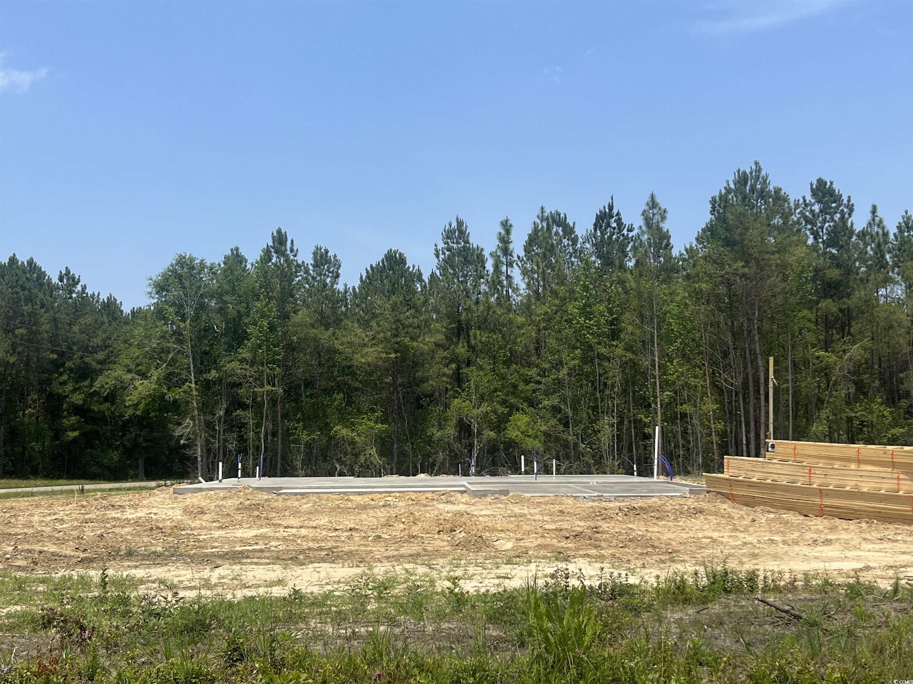 2919 Hughes Gasque Rd.