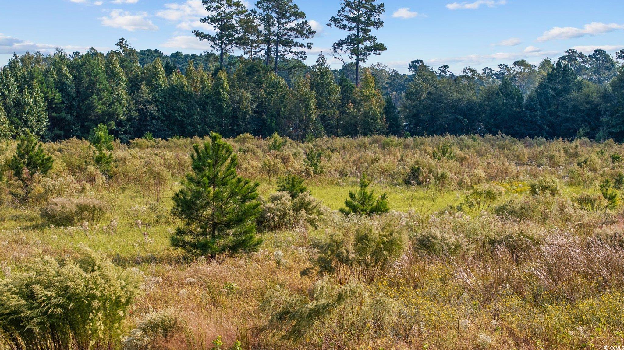 TBD Old Reaves Ferry Rd.