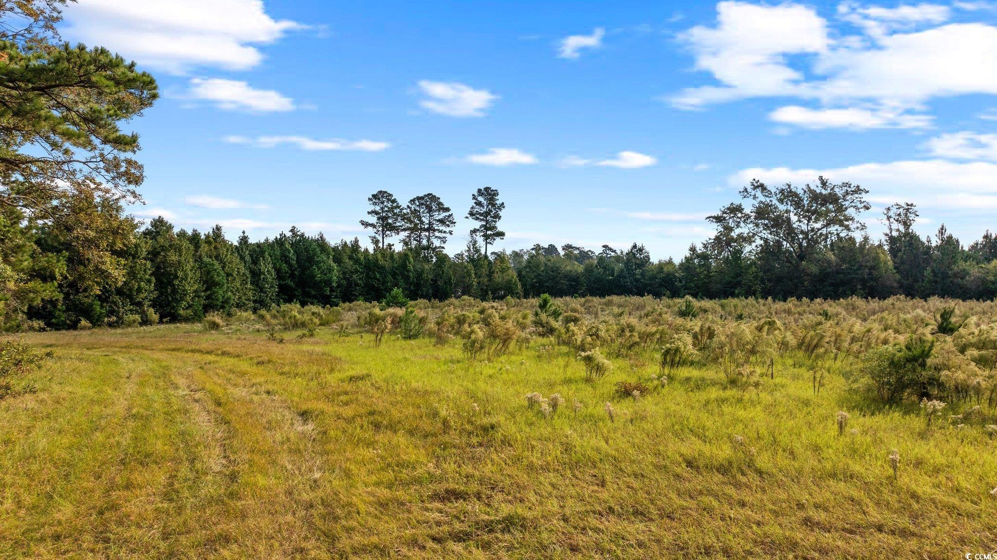 TBD Old Reaves Ferry Rd.