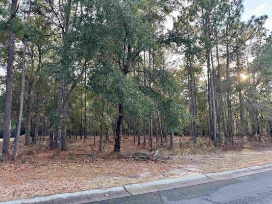 63 PRESERVATION CIR, PAWLEYS ISLAND, SC 29585 - Image e7f173c4fd8d8f95bbb014c68a9f15a4/3992780643