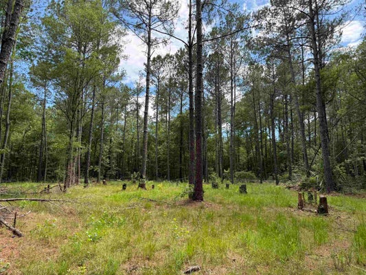 55 PENNYROYAL RD 5871, GEORGETOWN, SC 29440 - Image ec4de62a04d4f82ccd83cc400b1b095b/349280233