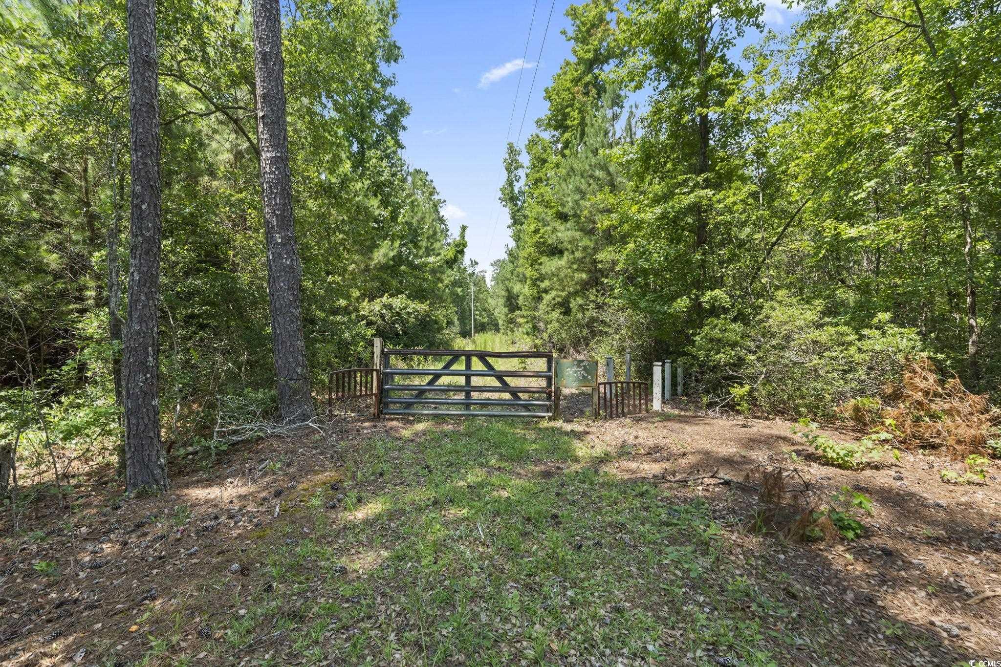 1351 Highway 90