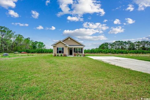 1390 Highway 129, Galivants Ferry, SC 29544 - MLS#: 2508413
