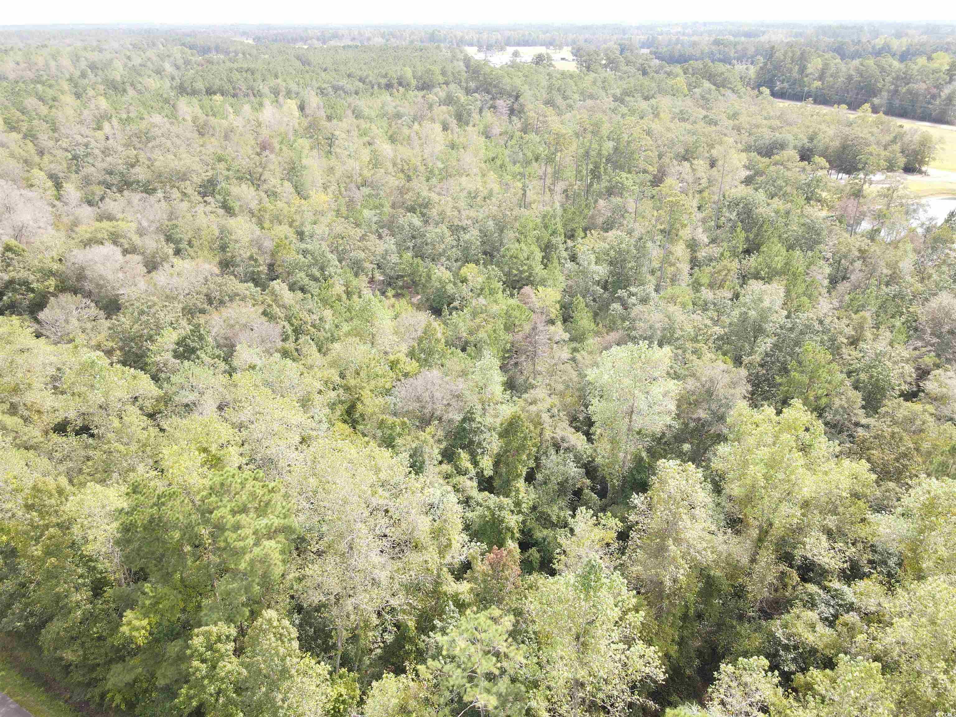 Photo 1 of 21 — Lot 6 Rainbow Dr., Loris, SC 29569
