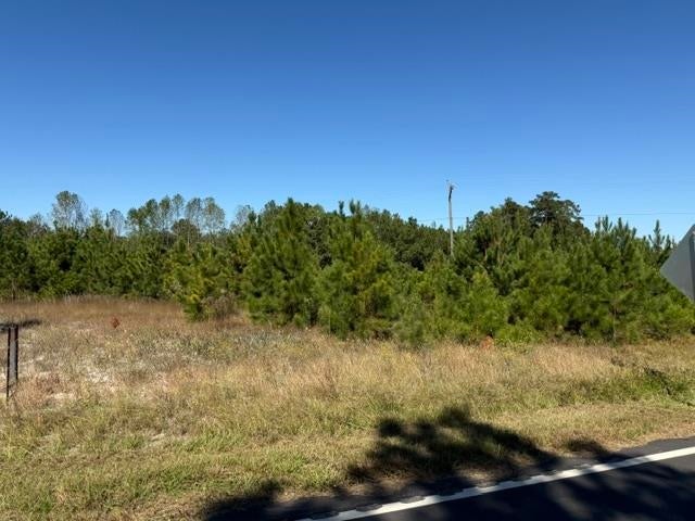 5.0 Acs Old Pee Dee Rd.