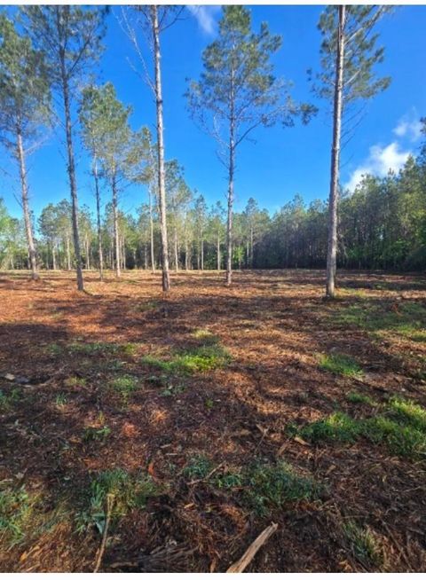 1513 Oakdale Rd. Loris SC 29569