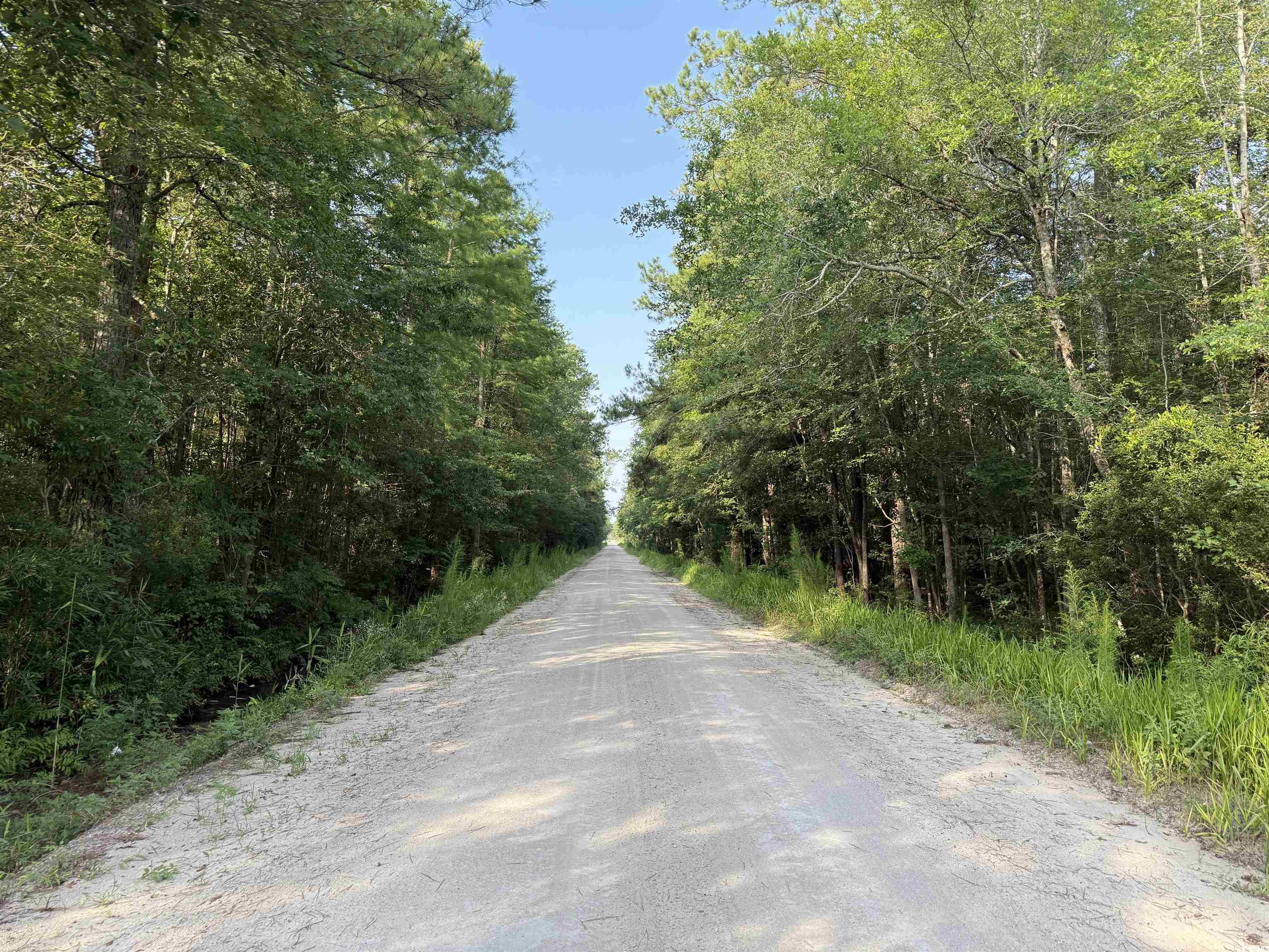 TBD Wolf Pit Bay Rd.