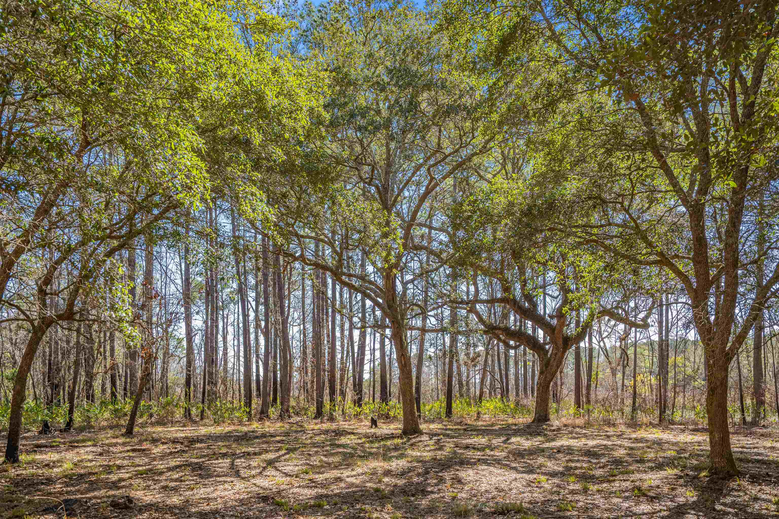 2630 Vanderbilt Blvd.