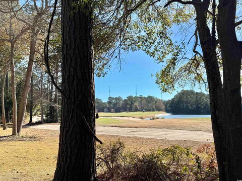 A home in Pawleys Island