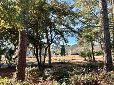 A home in Pawleys Island