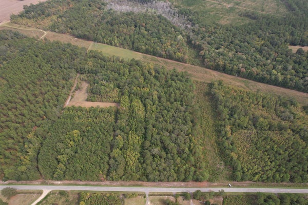 7+/- ACRES MARION CHURCH RD, SALTERS, SC 29590 - Image fa13fb64a00192f4731ebecadde2529e/2972067378