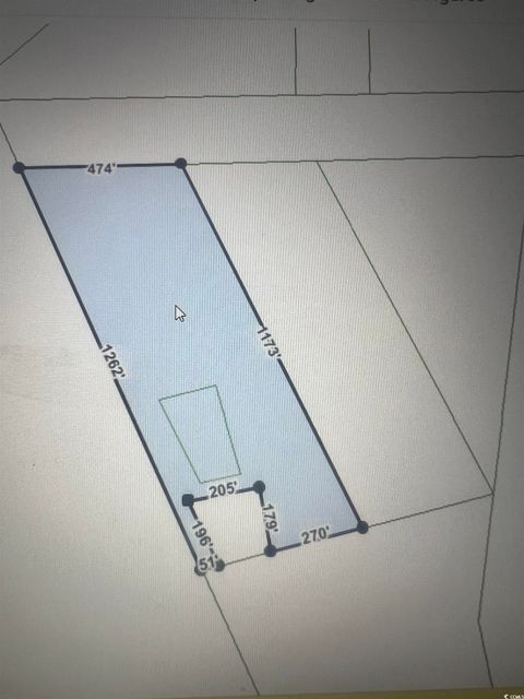 TBD Old Georgetown Rd. Hemingway SC 29554