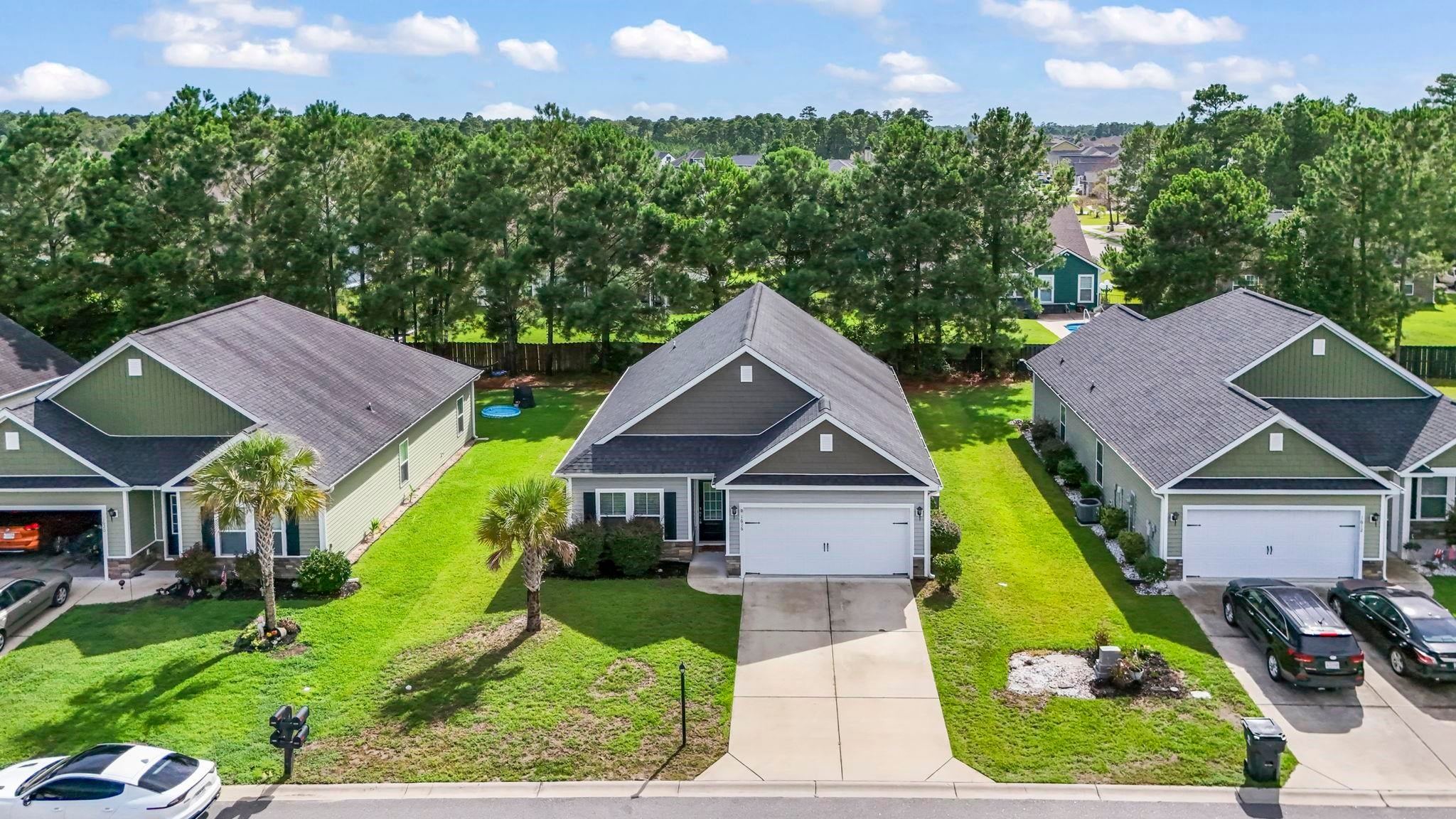 1616 Palmetto Palm Dr.