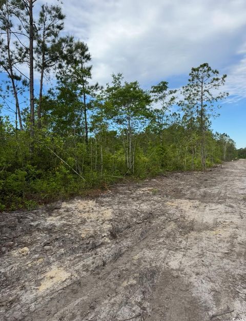 3204 Fowler School Rd. Loris SC 29569