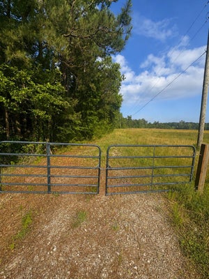 OLD BUCK CREEK RD, LONGS, SC 29568 - Image ff1494d9bc757f75a01bd76bbca59ea2/2096310829