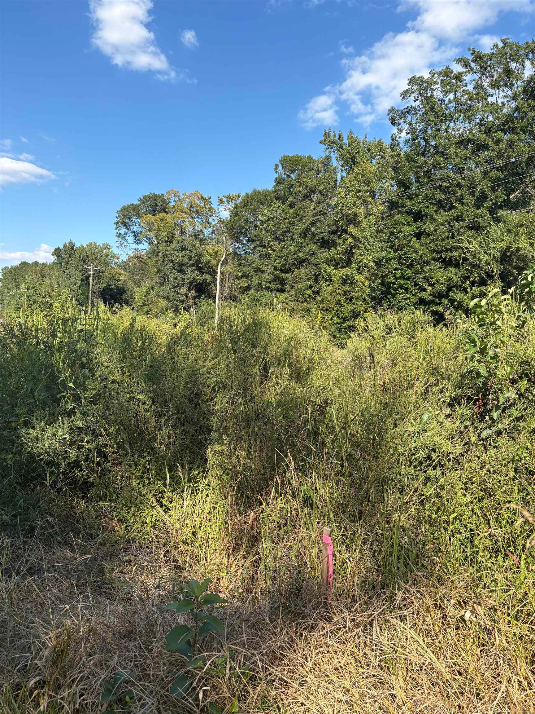 TBD Red Bluff Rd.