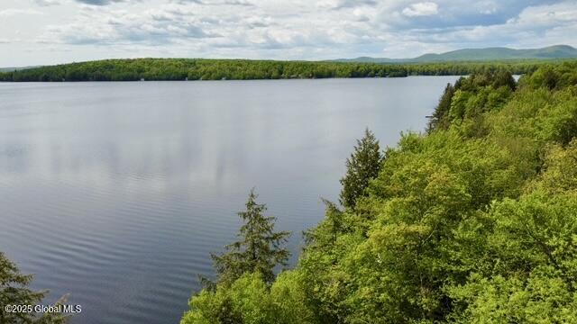 293 S Shore Rd Peck Lake, Gloversville, New York image 49