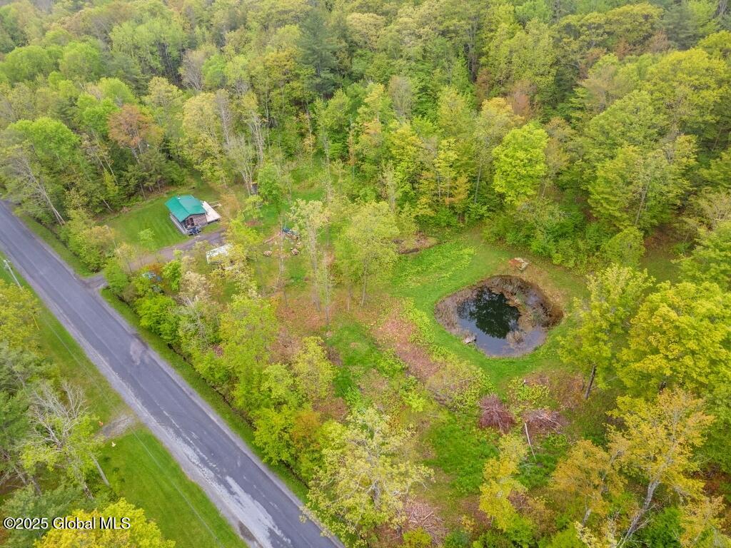 429 Posson Hill Road, Middleburgh, New York image 28