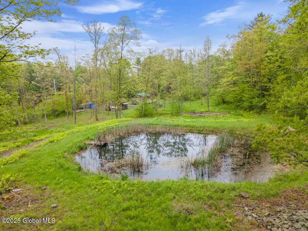 429 Posson Hill Road, Middleburgh, New York image 24