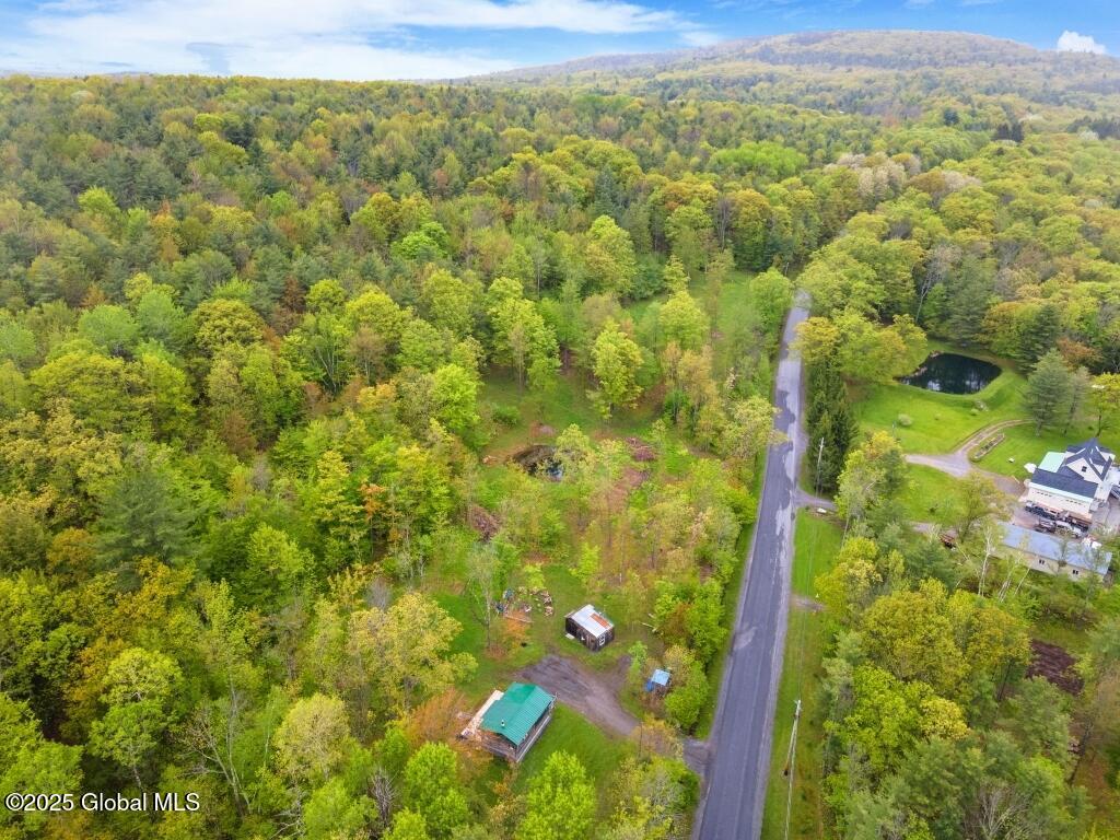 429 Posson Hill Road, Middleburgh, New York image 27
