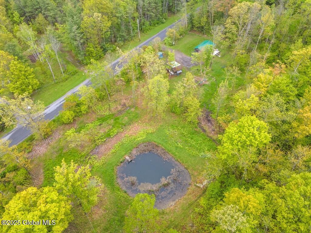 429 Posson Hill Road, Middleburgh, New York image 25
