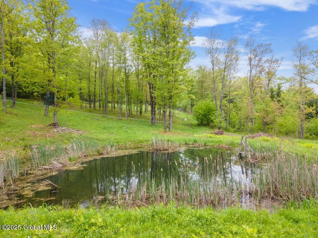 429 Posson Hill Road, Middleburgh, New York image 23