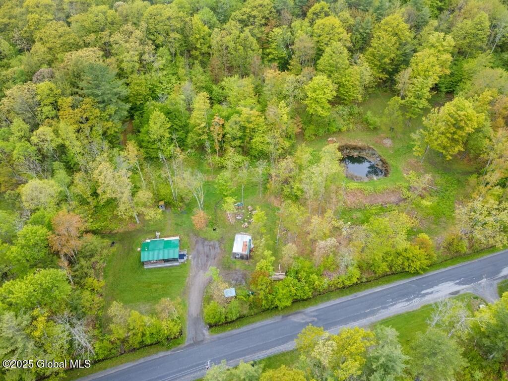 429 Posson Hill Road, Middleburgh, New York image 2