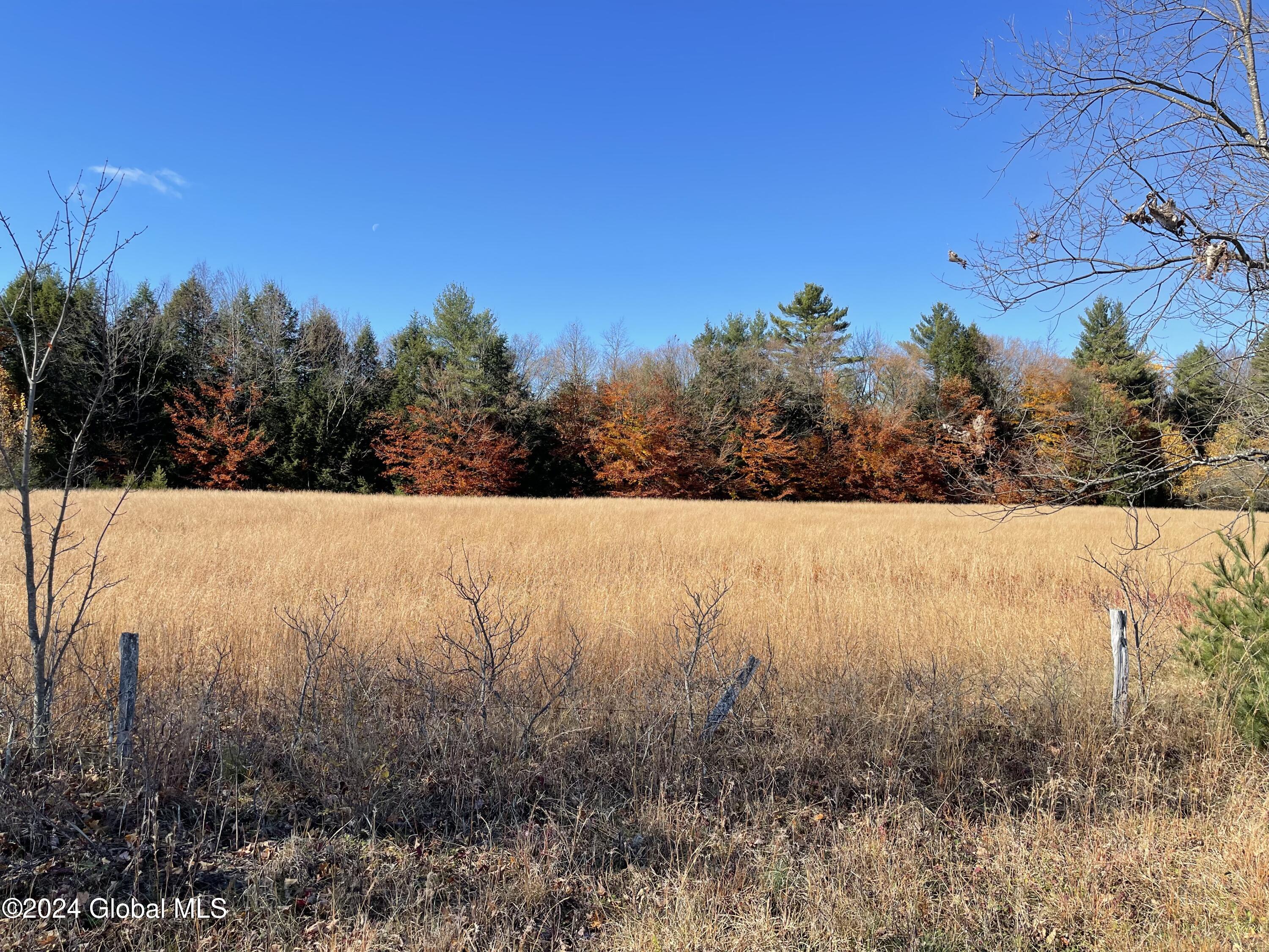 L65.2 Wheeler Road, Northville, New York image 8