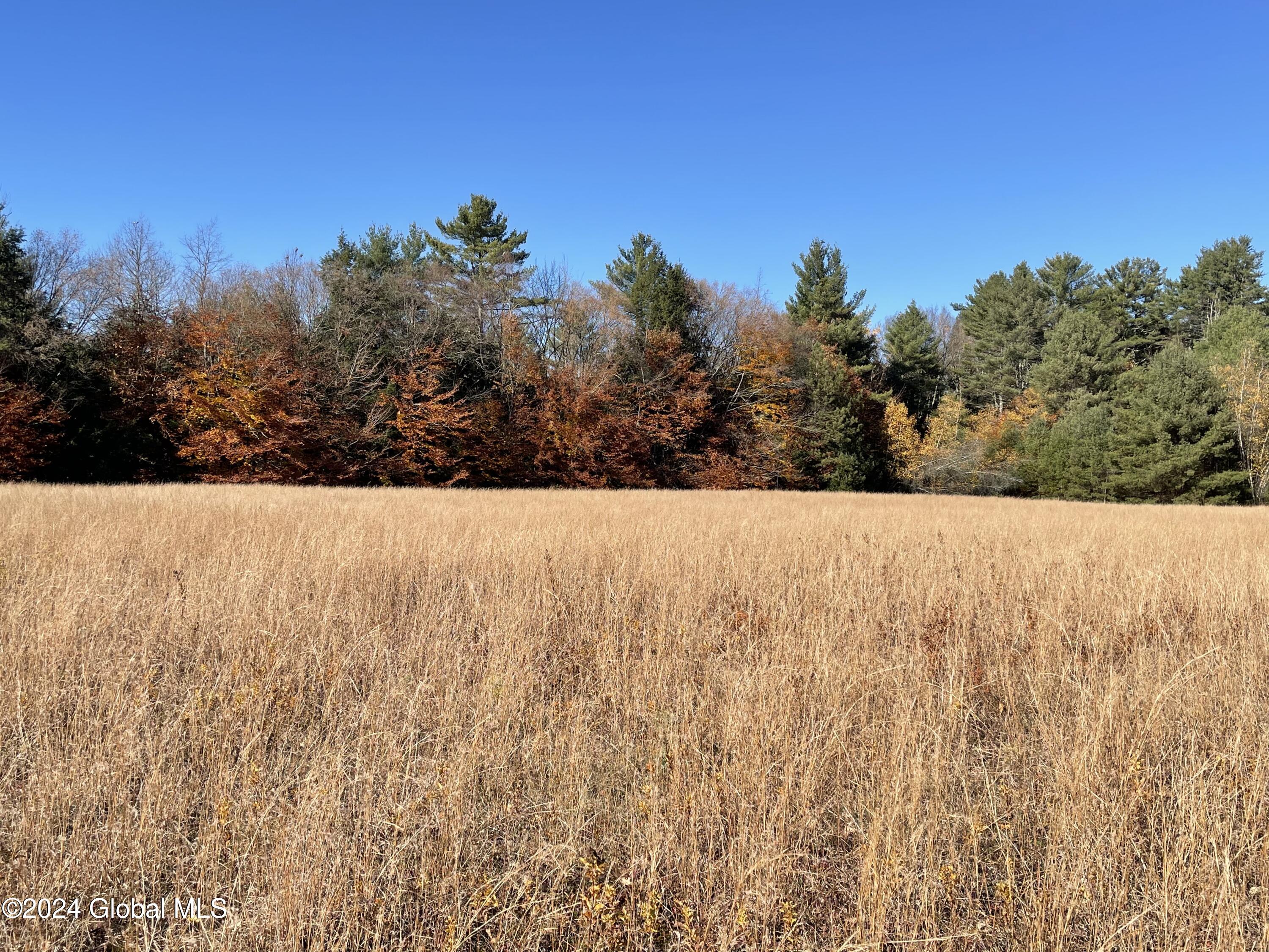 L65.2 Wheeler Road, Northville, New York image 1