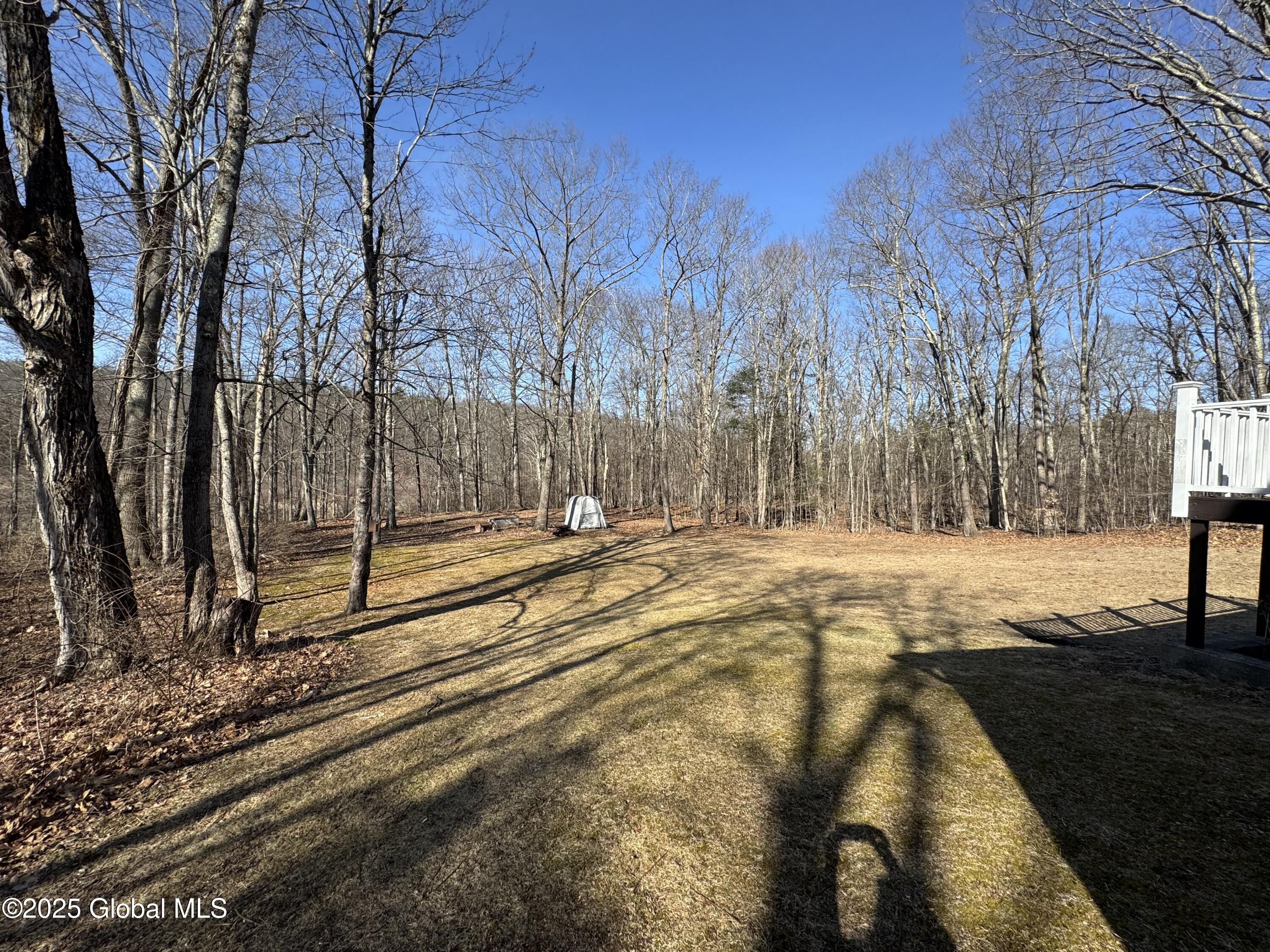 317 Scutt Road, Greenville, New York image 24