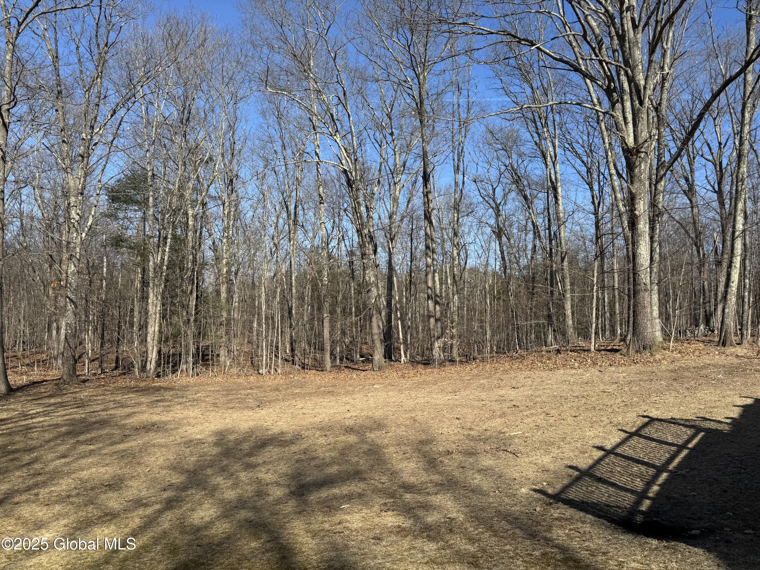 317 Scutt Road, Greenville, New York image 26