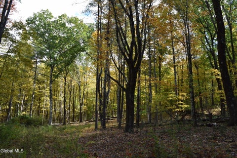 Photo of 294 Beck Road, Eagle Bridge, NY 12057 (MLS # 202628075)