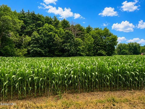 Vacant Land For Sale - 3462 State Route 22<br/> Washington County, Salem, NY 12865