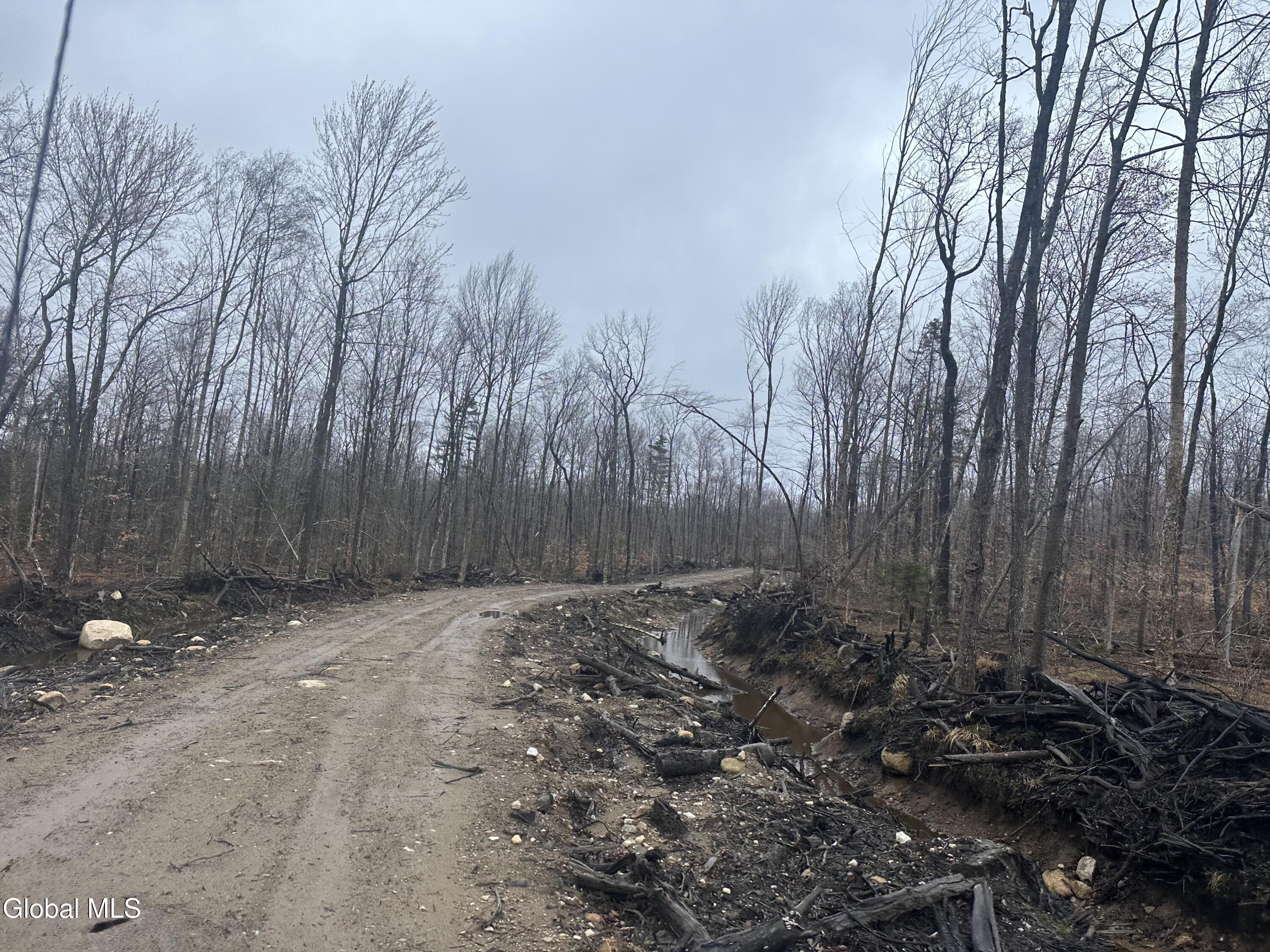 1006 County Highway 119